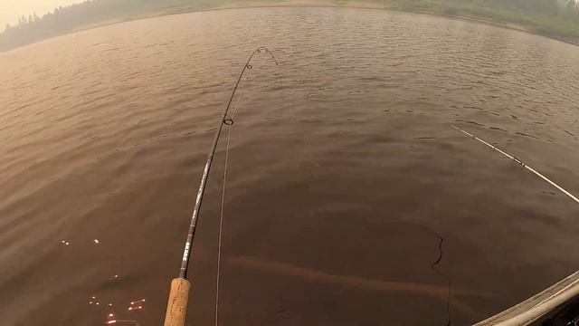 Медведь на рыбалке / Наловили много щук и окуней / Часть 2 смотреть онлайн