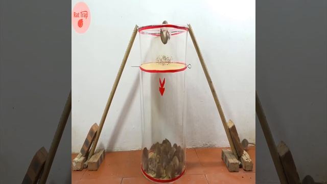 Так надо поймать крысу@@@@@@ смотреть онлайн