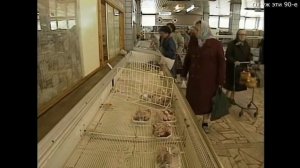 Магазины СССР 1990 год