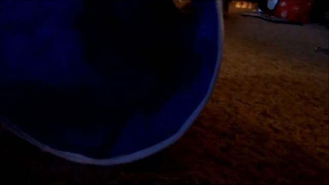 MCDREAMY THE RAGDOLL CAT PLAYS IN TUNNEL смотреть онлайн