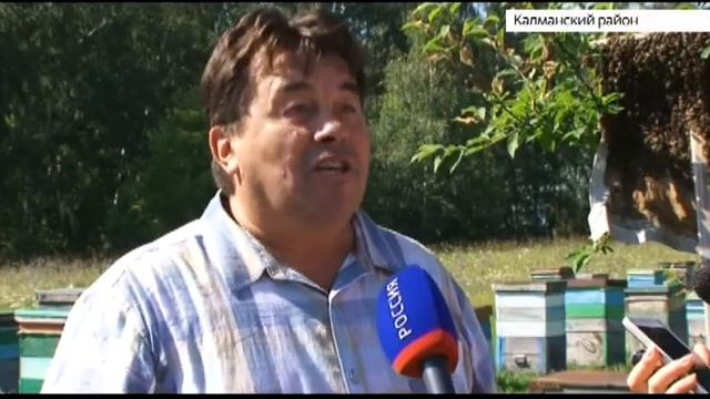 На Алтай для обмена опытом прилетели французские пасечники смотреть онлайн