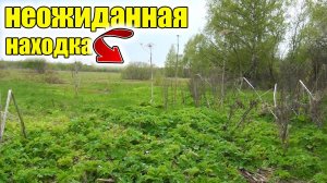 Неожиданная находка!Нашли огромную старую серебряную пуговицу!Находки в старом урочище!Коп старины!