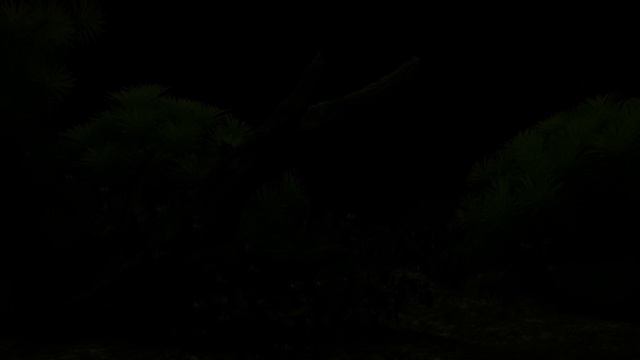 Dream Aquarium - All The Fish (4K)