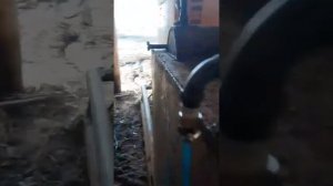 Правильная выгонка пихтового масла. Дробилка для пихты и большой чан для пихты.