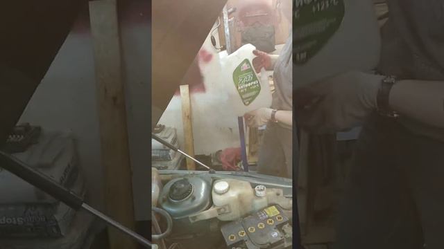 Один из вечеров / жизнь за городом смотреть онлайн