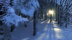 Ирина Богушевская. Зимняя сказка.