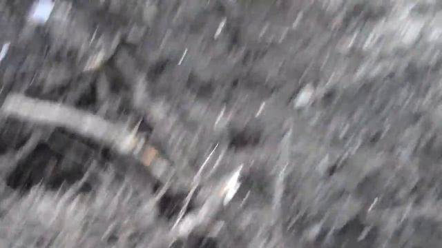 Дача пеньки корешки 21 смотреть онлайн