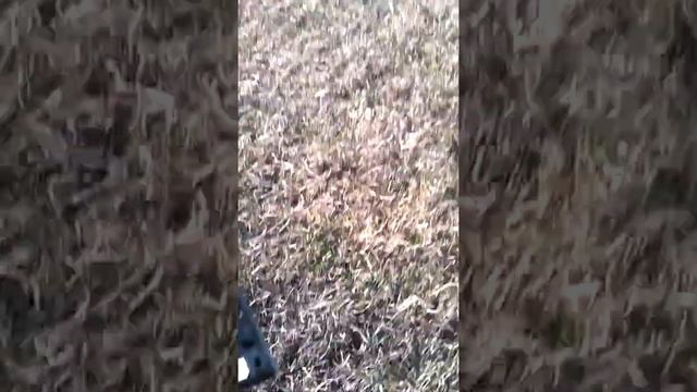 Нет учусь самый тупой калькулятор в мире смотреть онлайн