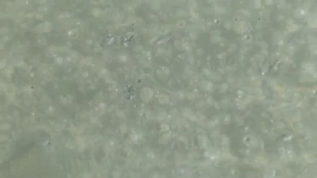 Тротуарная плитка собственного производства смотреть онлайн