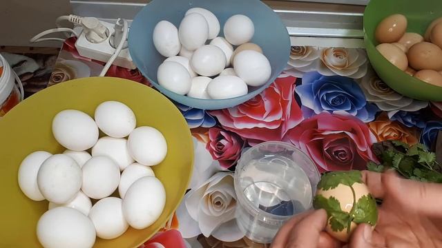 Танец на Вкус