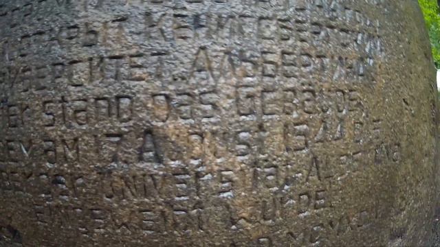 Идём в музей Мирового океана часть 1 смотреть онлайн