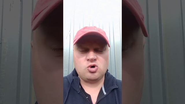 ПОЧЕМУ НЕ СТОИТ ГОЛОСОВАТЬ ЗА ЛДПР НА ВЫБОРАХ 11 СЕНТЯБРЯ 2022 ГОДА. смотреть онлайн