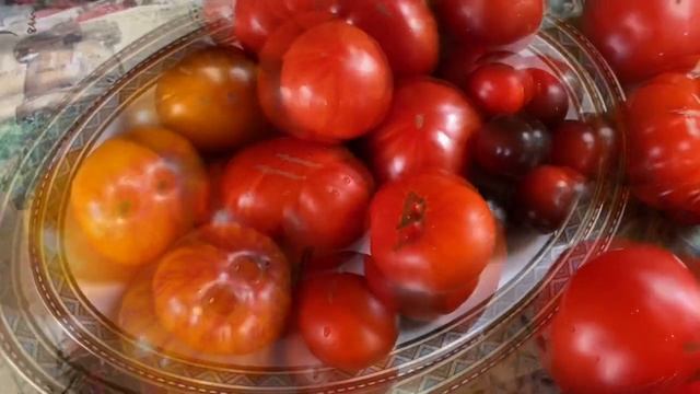 Томаты на 2021 год / любимые проверенные сорта смотреть онлайн