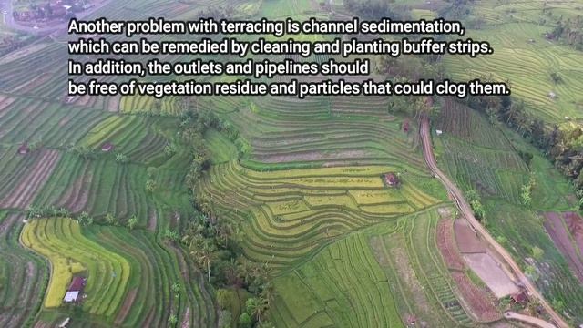 Terrace Farming And Its Importance / Heal Earth