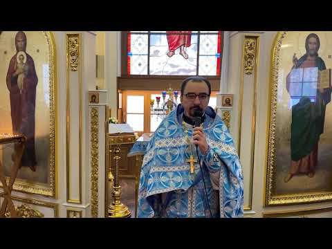 Понять и принять действие Божие в своей жизни: проповедь в Сретение Господне. Прот. Владимир Кочубей смотреть онлайн