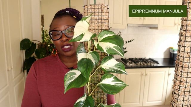 Plant Growth Updates MAY 2022 | The Leca Queen смотреть онлайн