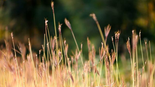 Крис Раймер, спикерское выступление. Трезвый с 13 ноября 1987г. смотреть онлайн
