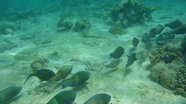 Захабия ч 1 смотреть онлайн