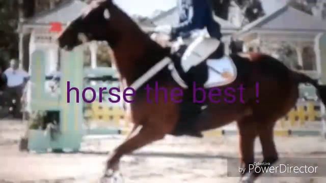 Новое интро . Не спрашивайте почему ! смотреть онлайн