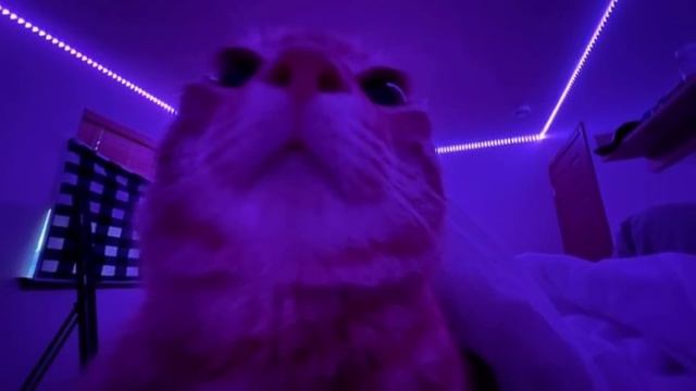 Atmospheric phonk playlist Atmospheric phonk 2023 Wave phonk Chill phonk смотреть онлайн