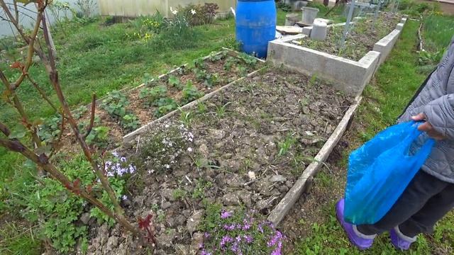 ПАСХУ встречаем в нашем милом НЕФТЕГОРСКЕ. АПШЕРОНСКИЙ РАЙОН. ДОМ НА ЮГЕ смотреть онлайн