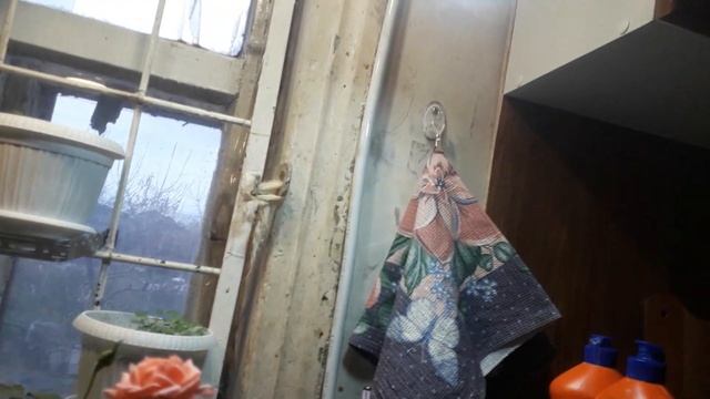 Роза на подоконнике. смотреть онлайн