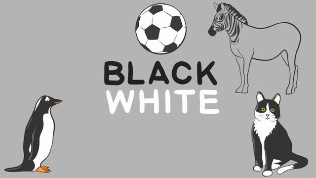 BLACK and WHITE colors - color names - coloring pages for kids - LiLi смотреть онлайн