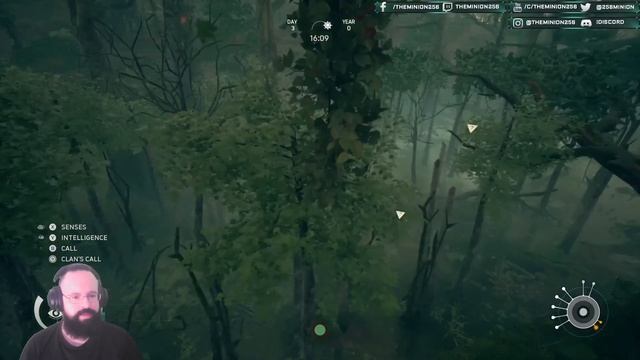 Ancestors: The Humankind Odyssey - How To Get the First Meteorite смотреть онлайн