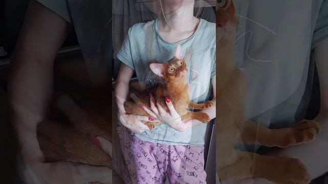 👉 По всей интересующей информации пишите нам в WhatsApp ❤👍 8-925-570-20-51 смотреть онлайн