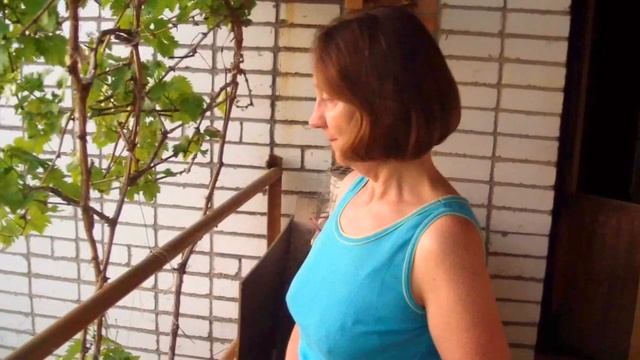 2011-05-27 21:09 Закат в Должанке на веранде Антоныча смотреть онлайн