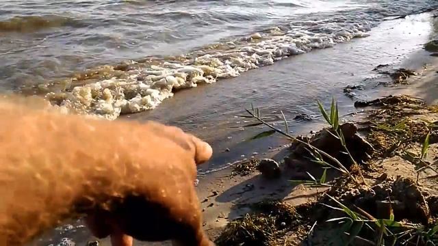 Слов просто нет,одни эмоции,надо лесть в воду смотреть онлайн
