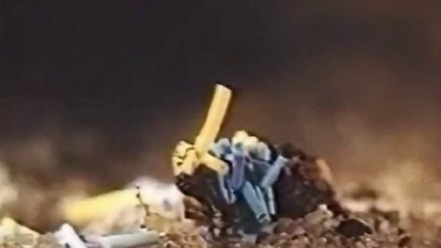 Личинка ручейника смотреть онлайн