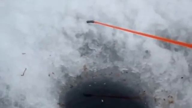 Рыбалка в Кутузовском заливе смотреть онлайн