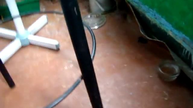 Ласка играетса с рукой The Weasel