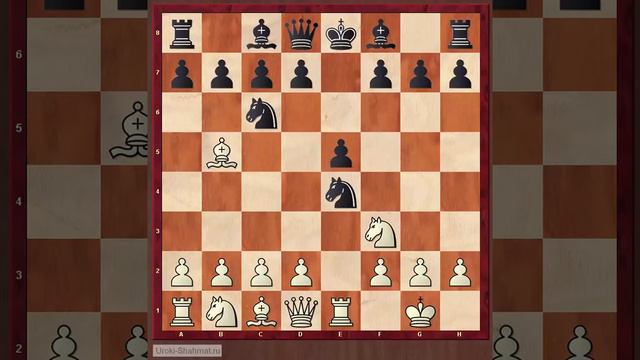 Курс по Испанской партии смотреть онлайн