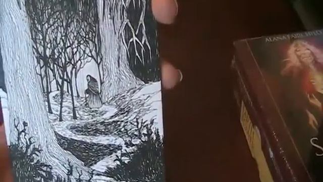 Deck Mail Unboxing Hollow Woods Storytelling, Sacred Rebels, Earth Power Oracle by Grün Eule смотреть онлайн