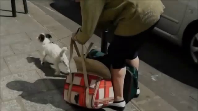 Пивная мафия действует через Госдуму России смотреть онлайн