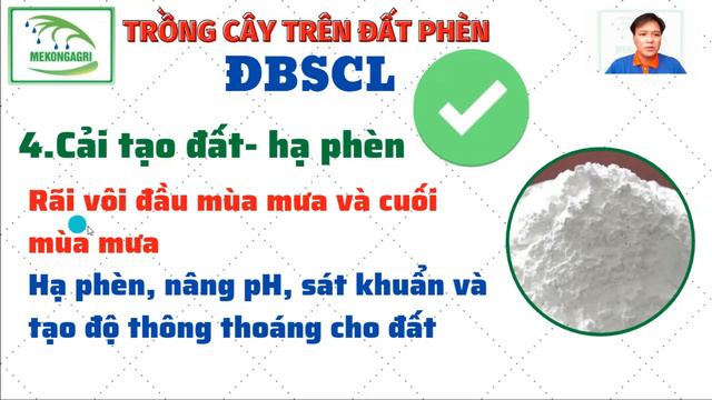 Trồng cây ăn trái trên đất phèn | Các lưu ý trước khi bắt đầu lên mô liếp | Cải tạo đất phèn смотреть онлайн
