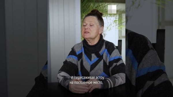 Сажаем астры: когда сеять цветы на рассаду | NGS.RU