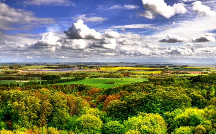 Как хороша наша саванна