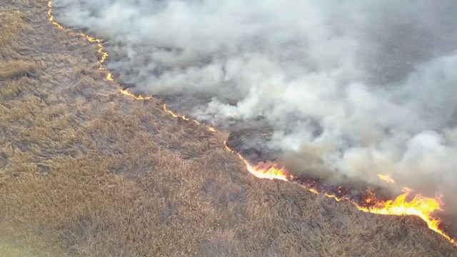 Херсон, Шуменский. Горят плавни Веревчины 05.03.2017