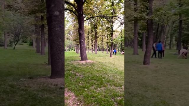 Парк Ататюрк Вечерняя прогулка смотреть онлайн