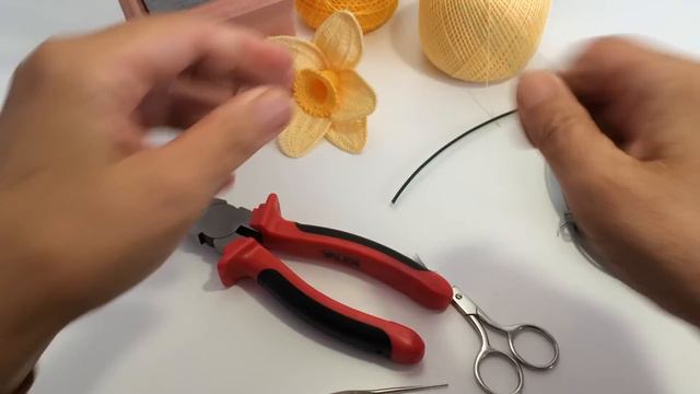 Spiegazione Del Narciso All'uncinetto