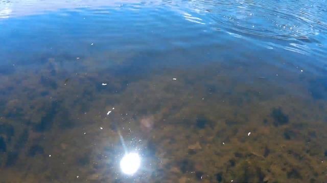 V.I.P.Fishing - season №1 s1 (платник - Братовщина) смотреть онлайн