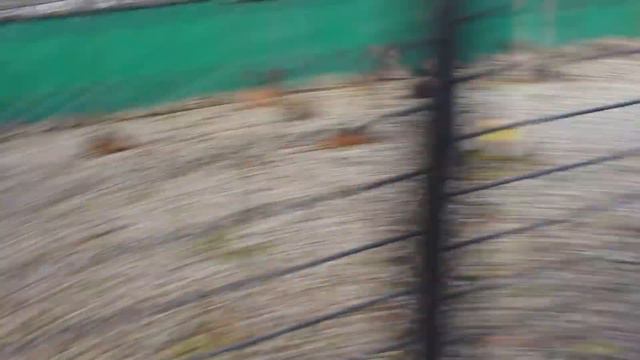 Тайган : Туда хочется вернуться ! Белогорск. Крым. Россия - 2016 смотреть онлайн