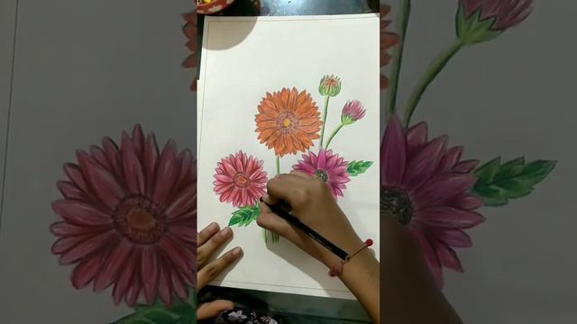 #Short you tube video | Pencil color | смотреть онлайн