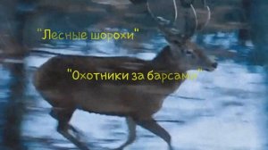 Максим Зверев - человек природы.mp4