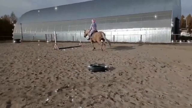 Контрольная тренировка перед сореанованиями?? смотреть онлайн