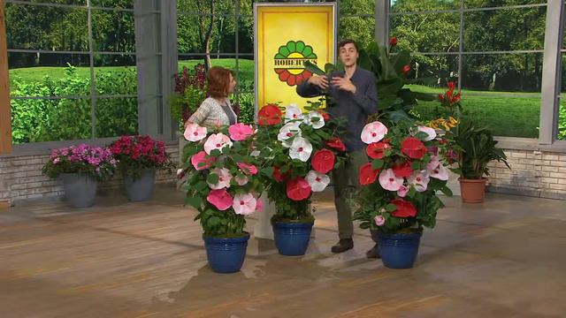 Roberta's 3-pc. Top Class Multi-Color 2-in-1 Hardy Hibiscus with Sharon Faetsch смотреть онлайн