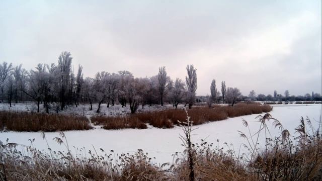 Антрацит Январь 2017 | Antratsyt January 2017 смотреть онлайн